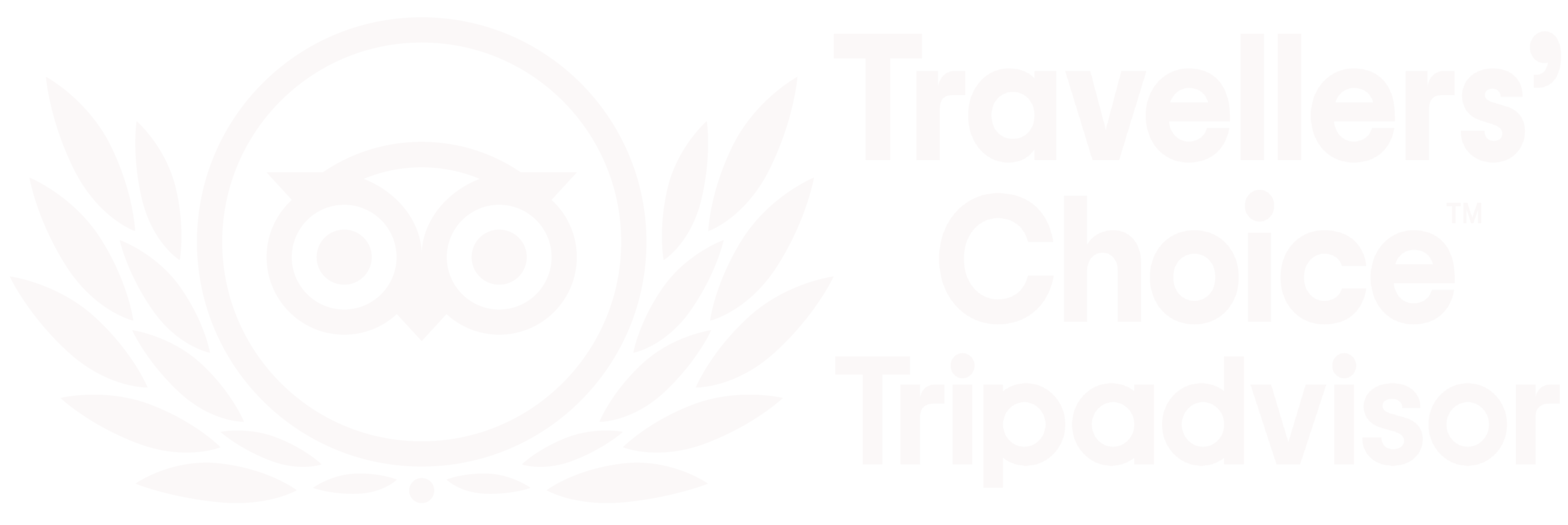 Tripadvisor Martinique choice.png