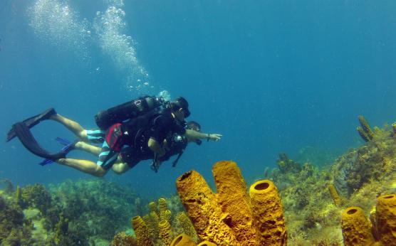 First scuba dive, Martinique