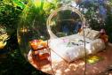 Maison d'hôtes le domaine des bulles lune de miel Martinique (6).jpg