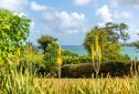 Villa Palm Martinique Luxe vue mer piscine  (7).jpg